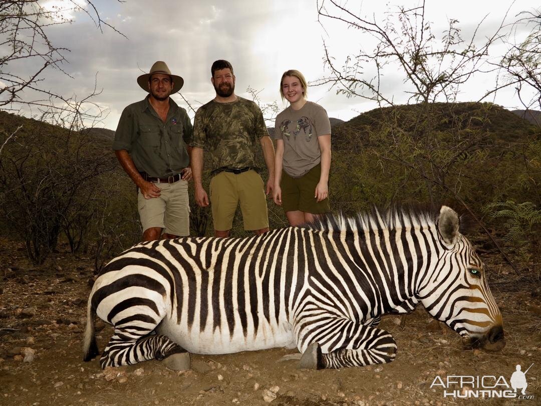 Hunt Hartmann's Mountain Zebra in Namibia