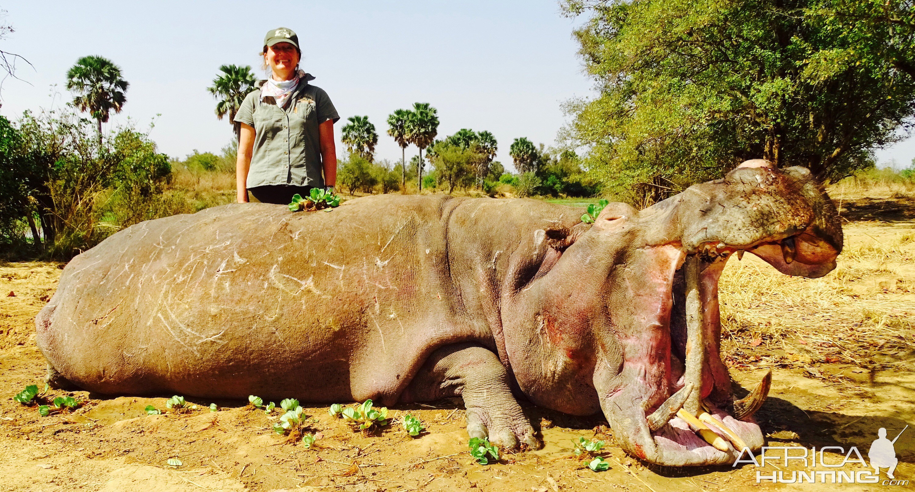 Hunt Hippo Benin