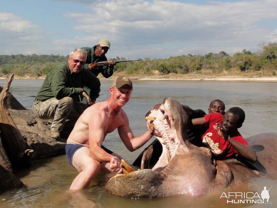 Hunt Hippo Tanzania