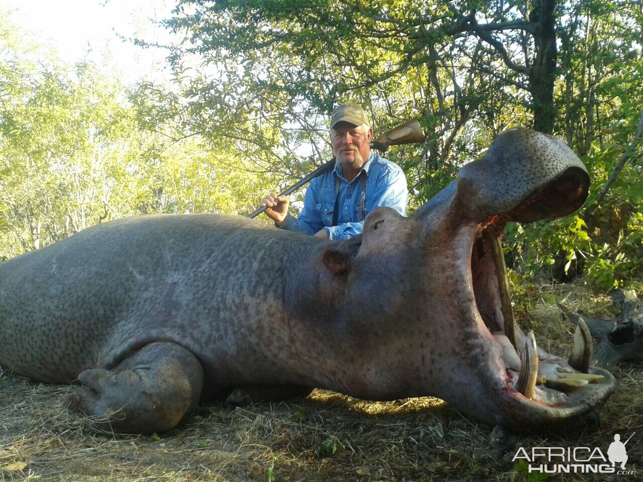 Hunt Hippo Zimbabwe