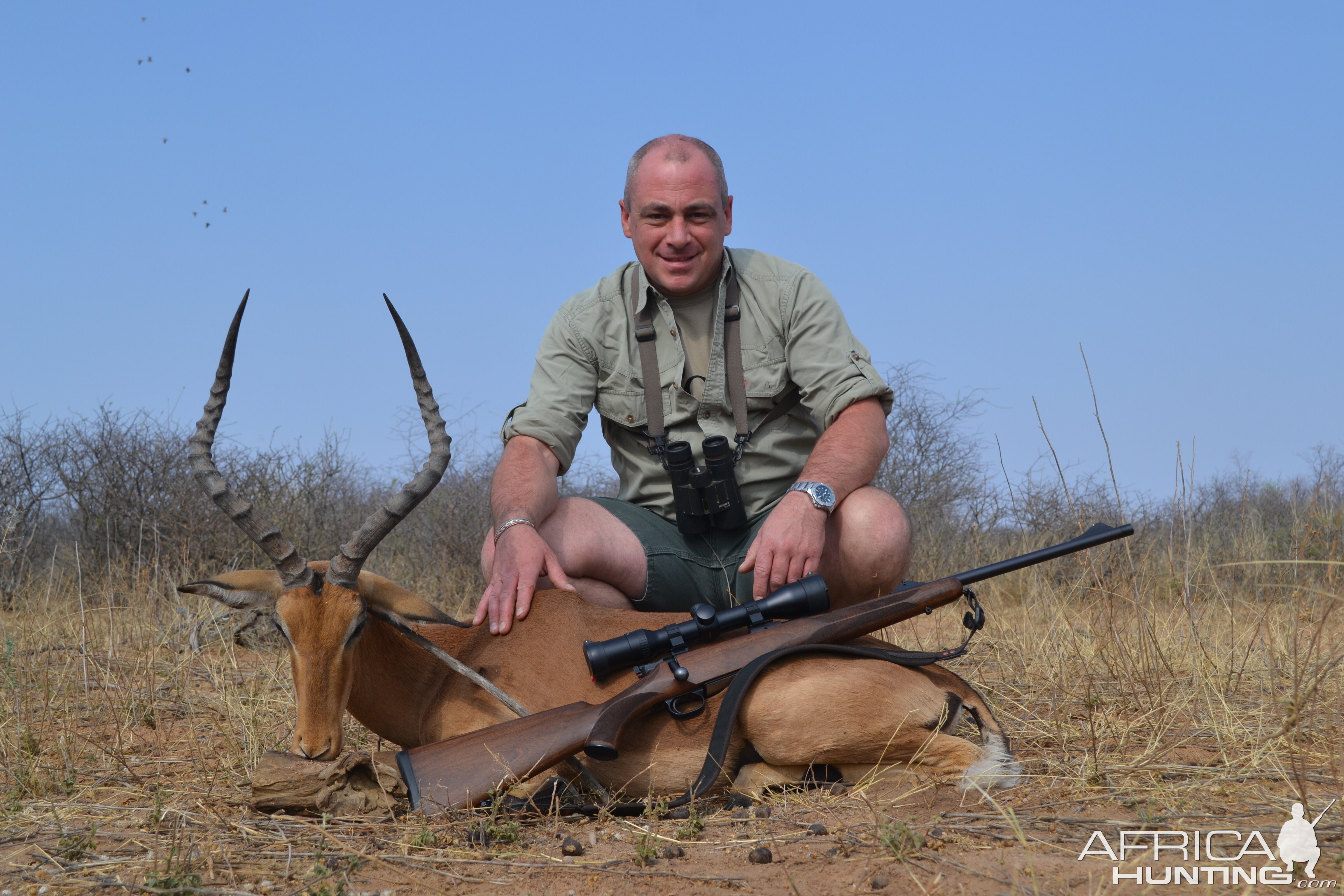 Hunt Impala in Namibia