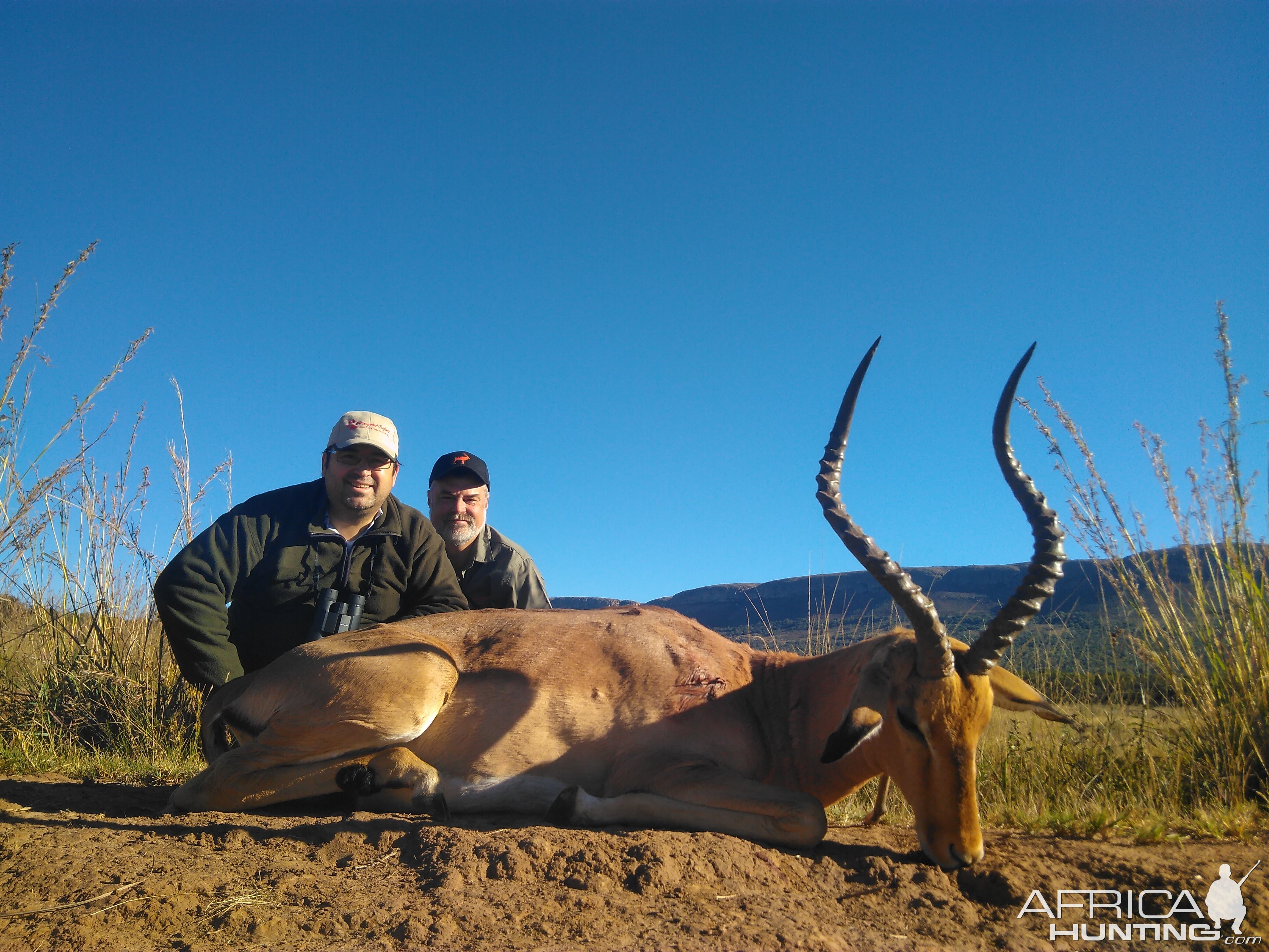 Hunt Impala South Africa