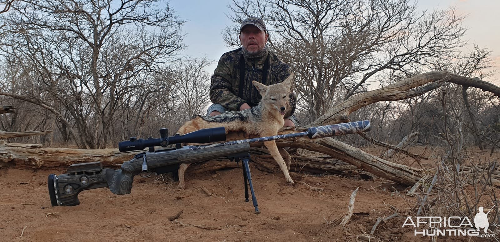 Hunt Jackal in South Africa