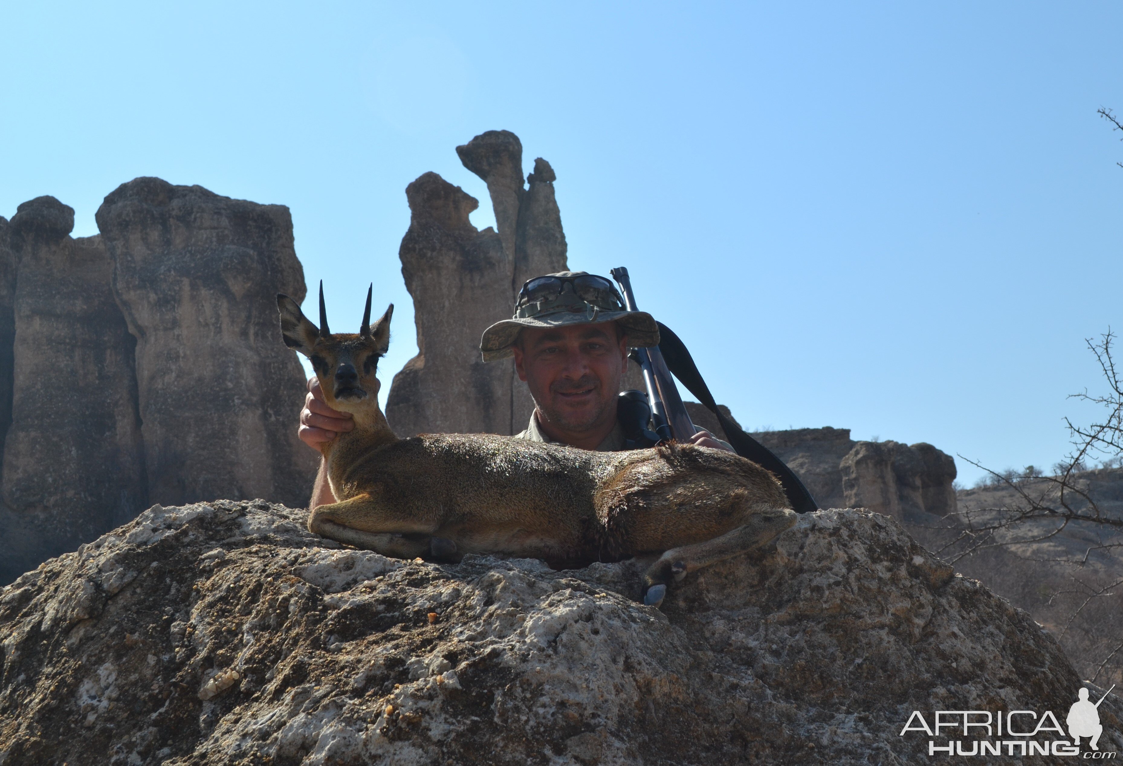 Hunt Klipspringer in Namibia