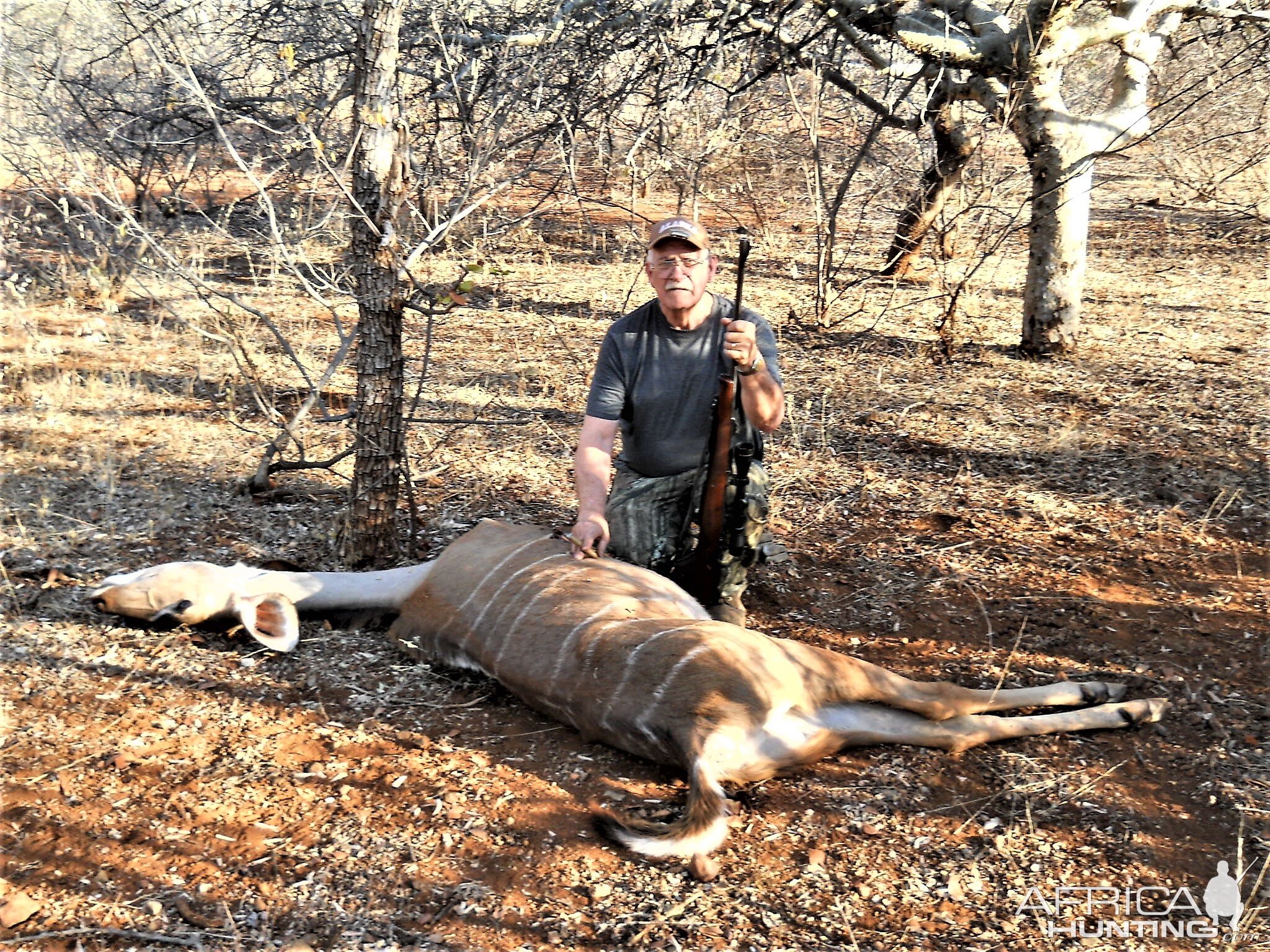 Hunt Kudu Female in South Africa