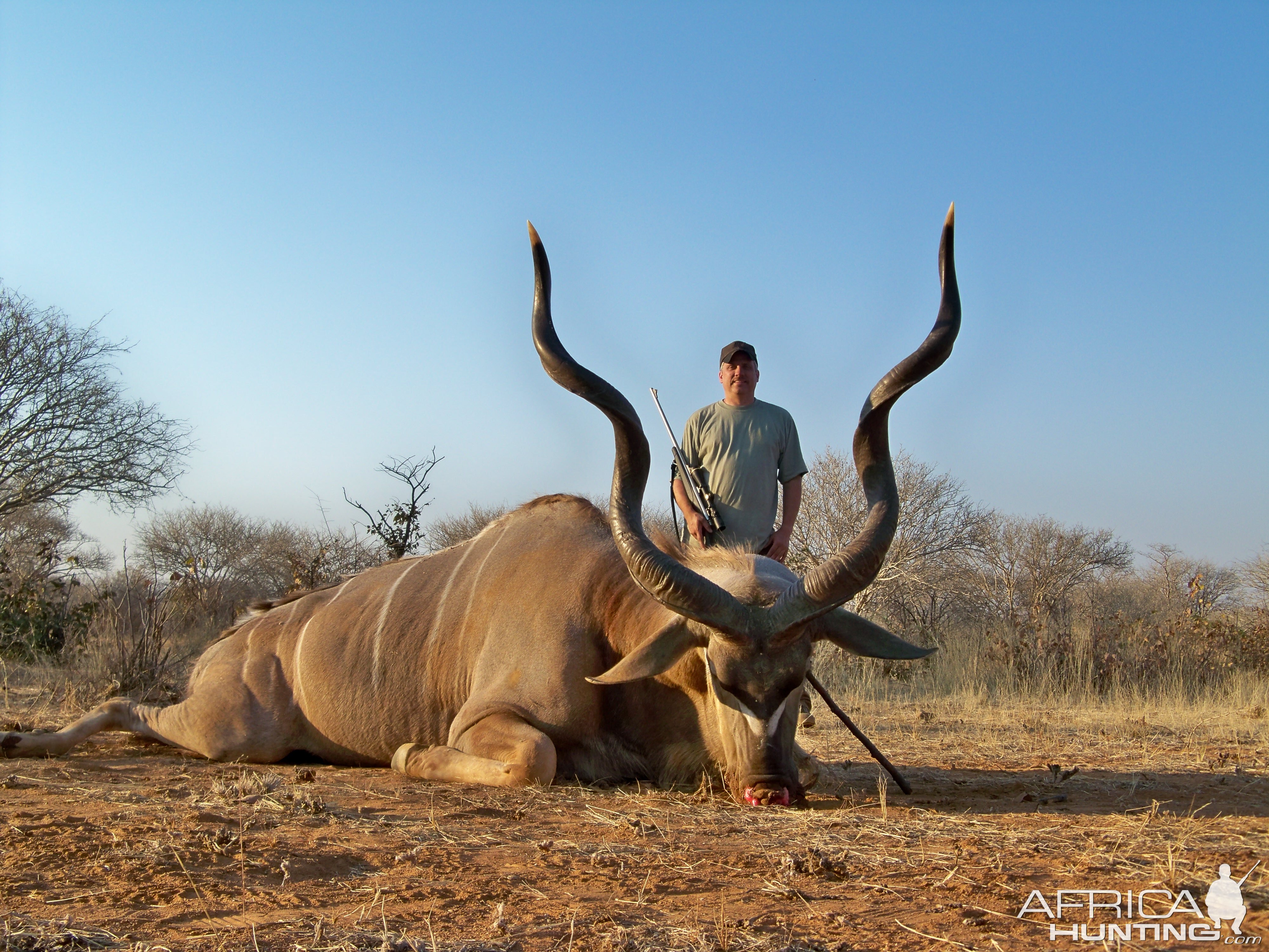 Hunt Kudu in Namibia