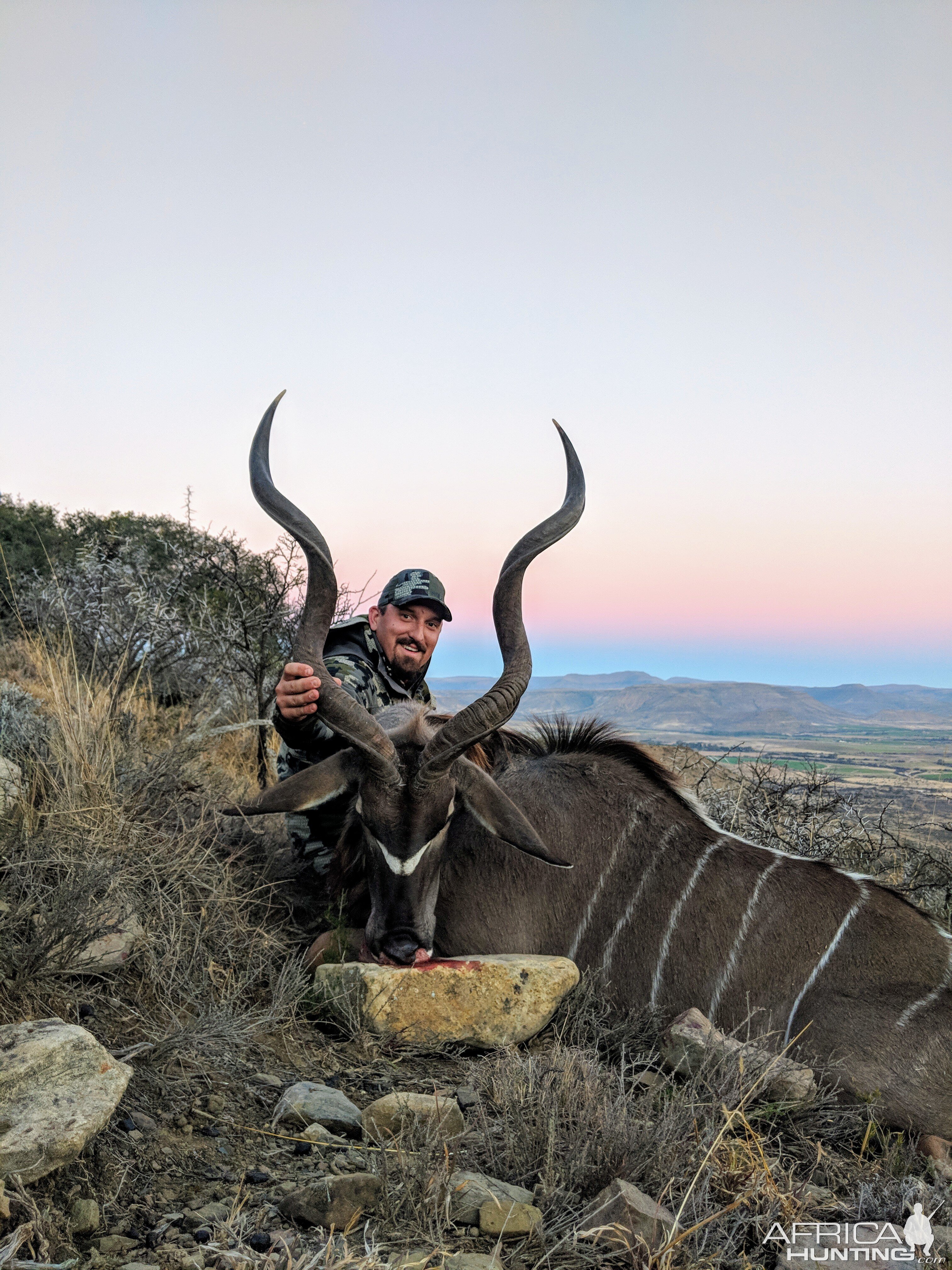 Hunt Kudu in South Africa