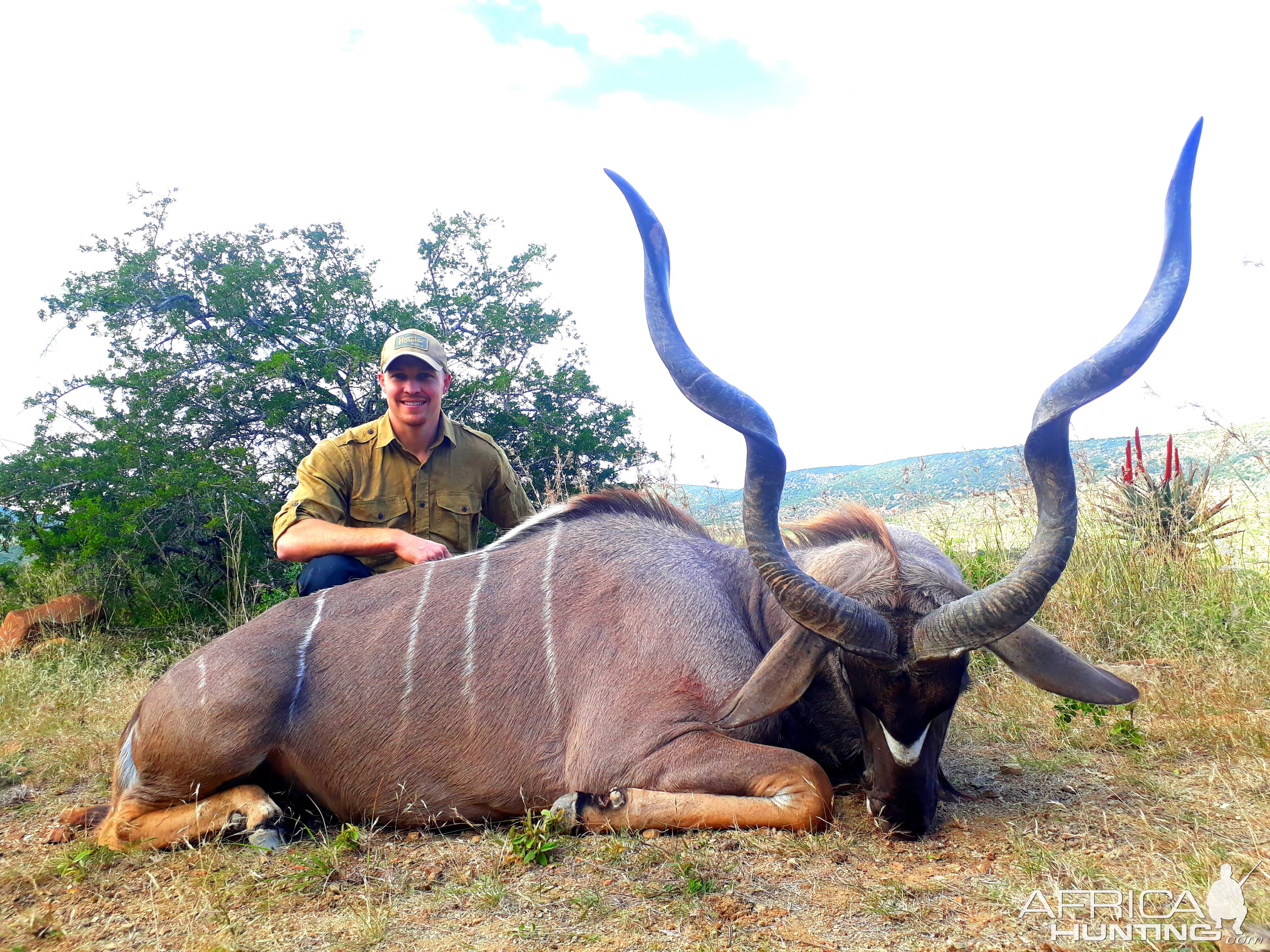 Hunt Kudu in South Africa