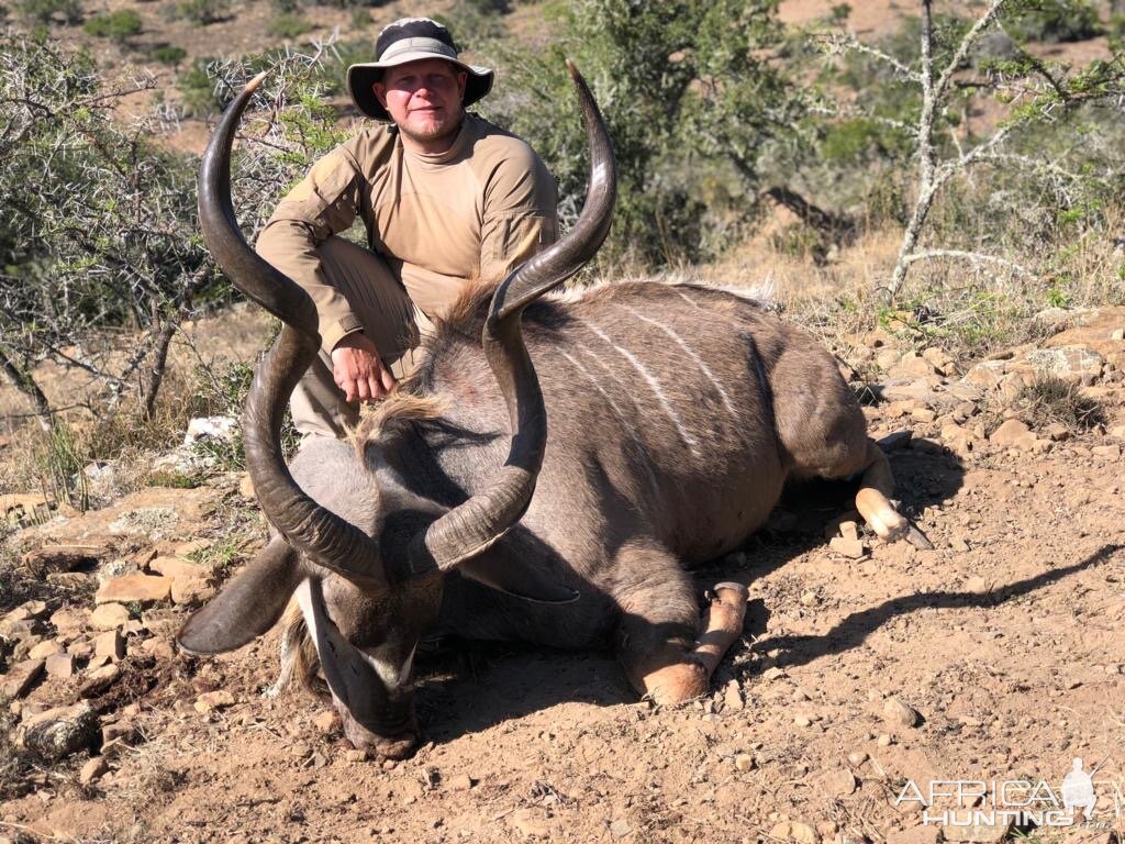 Hunt Kudu in South Africa