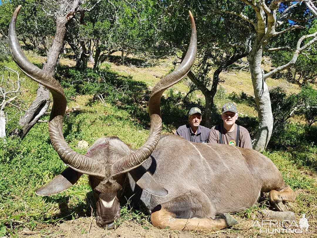 Hunt Kudu South Africa