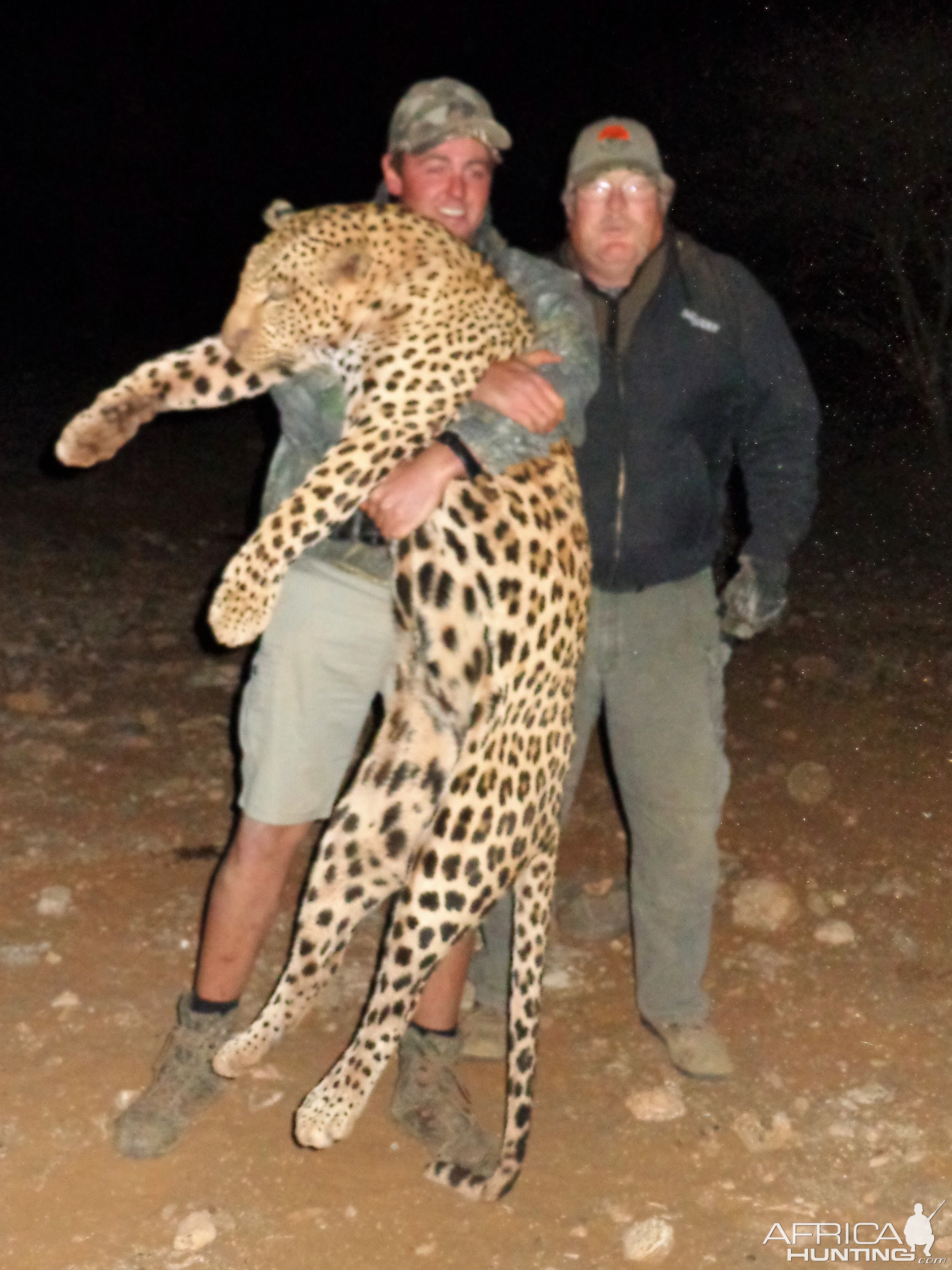Hunt Leopard in Namibia