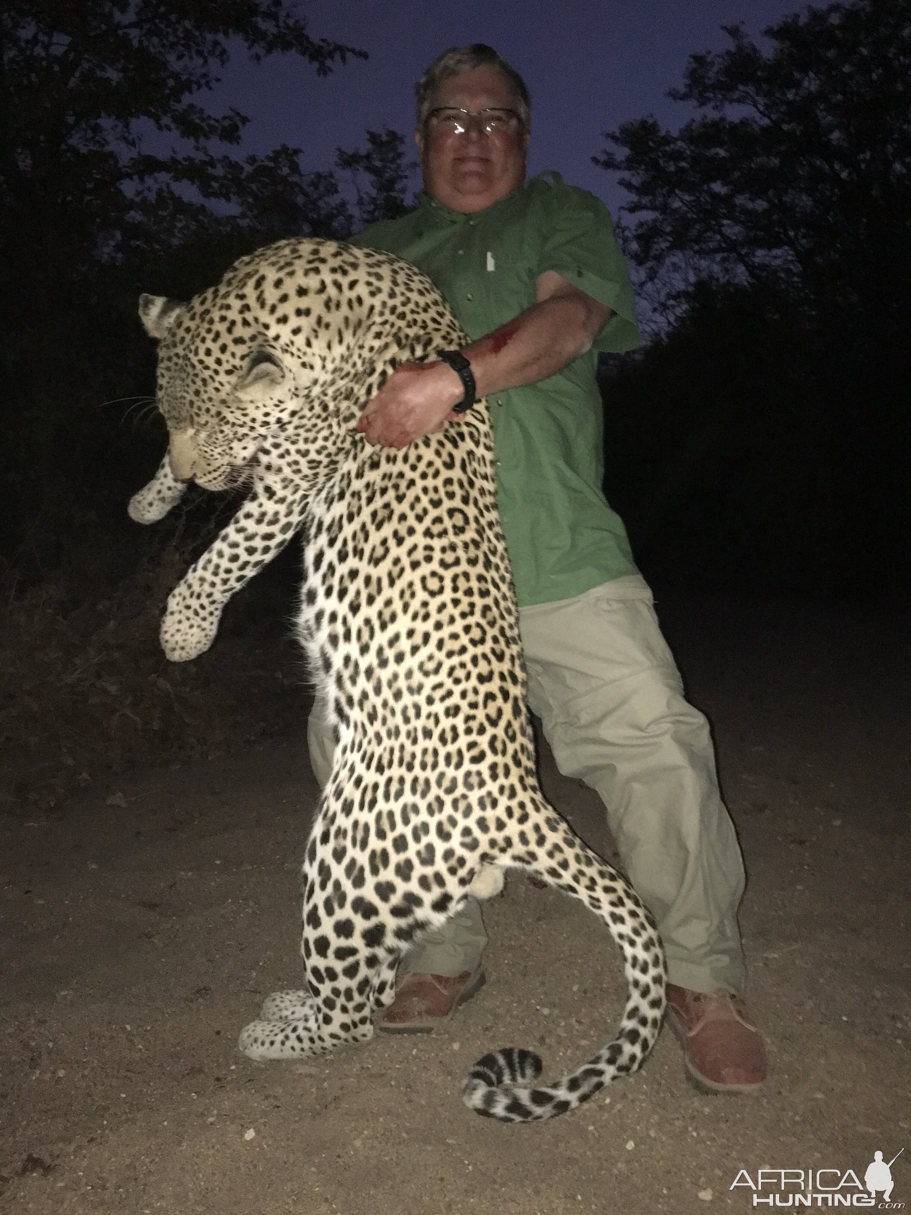 Hunt Leopard in South Africa