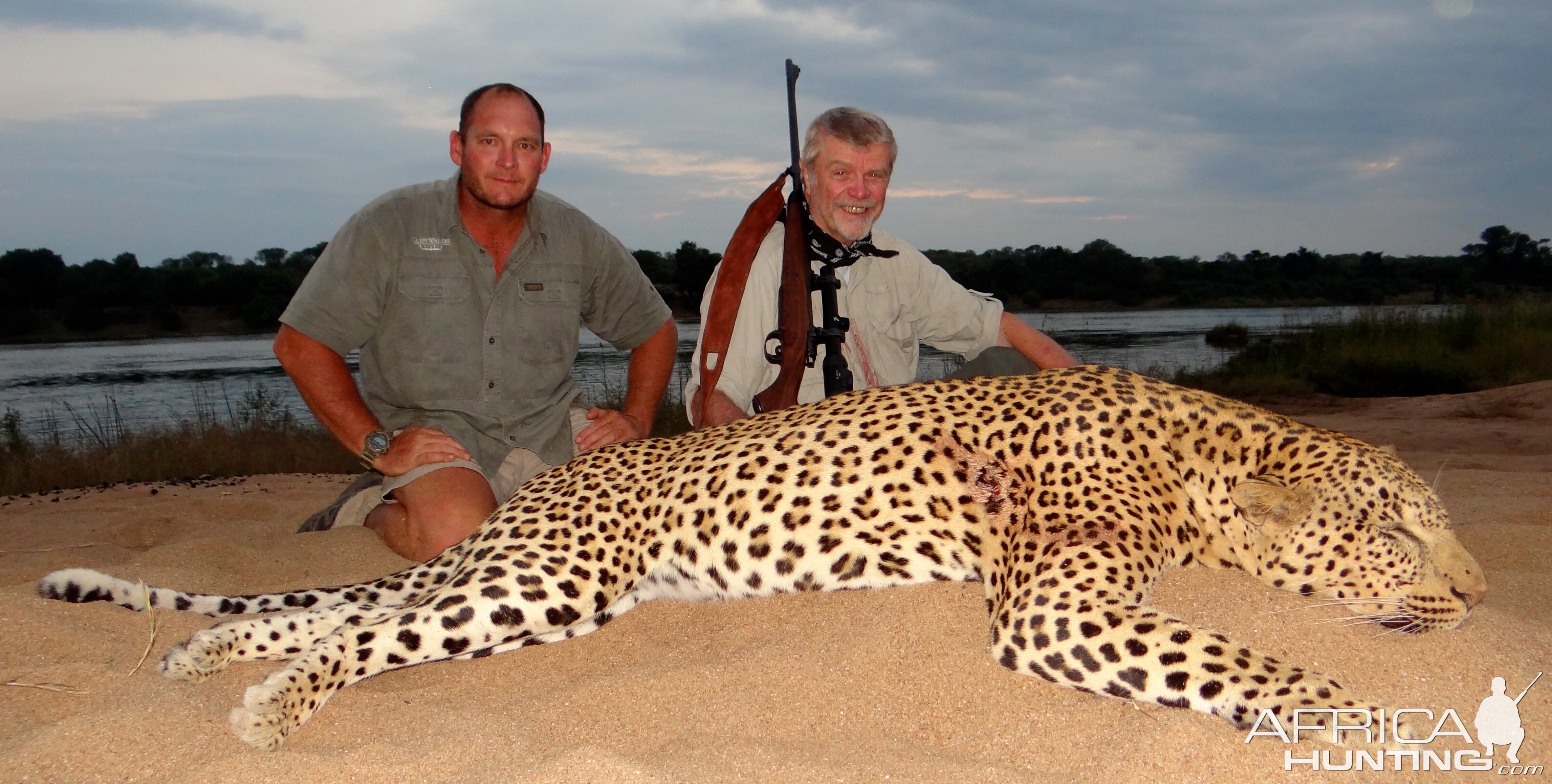 Hunt Leopard in Zimbabwe