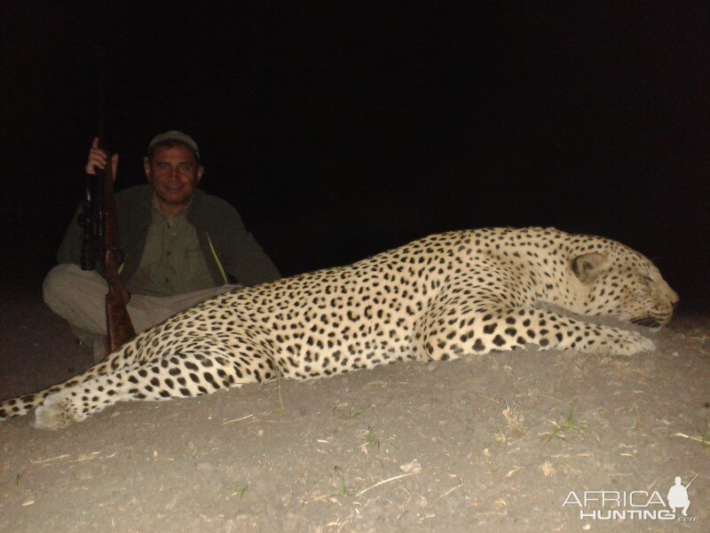 Hunt Leopard Namibia