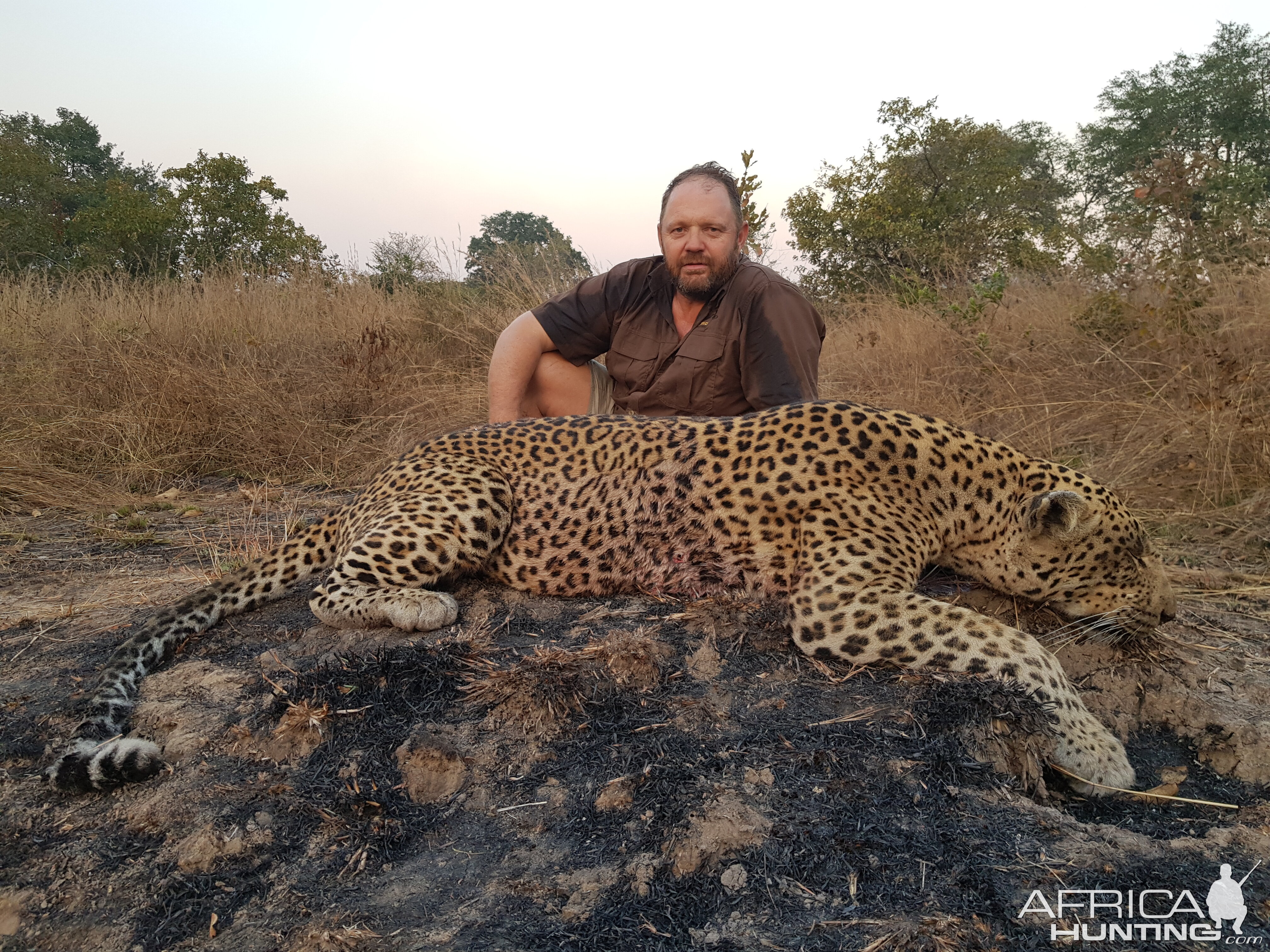 Hunt Leopard