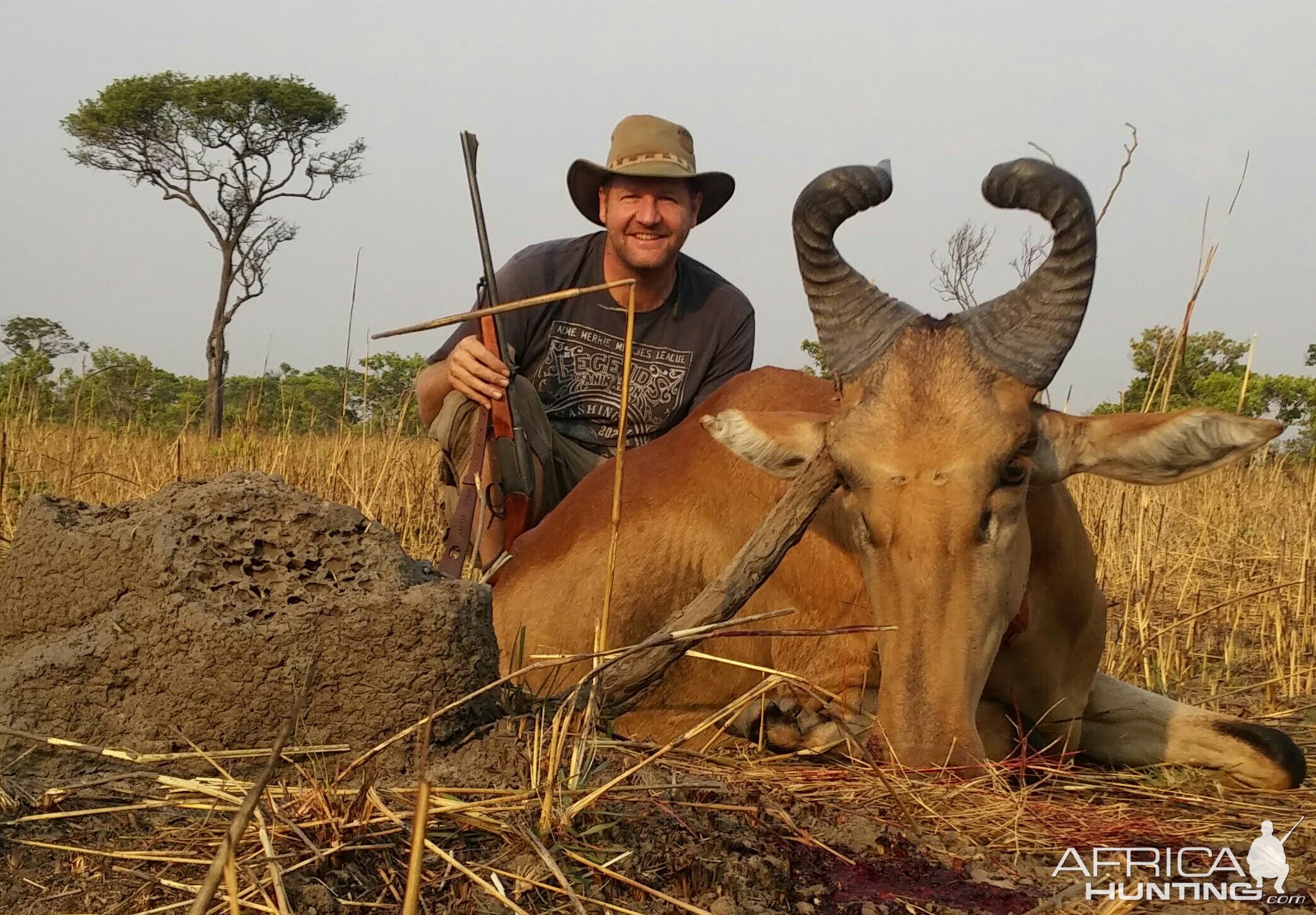 Hunt Lichtenstein's  Hartebeest