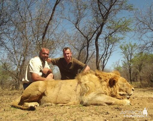 Hunt Lion in South Africa