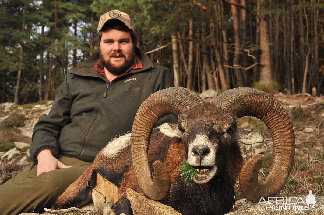 Hunt Mouflon France