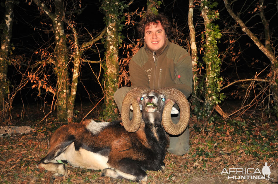 Hunt Mouflon France