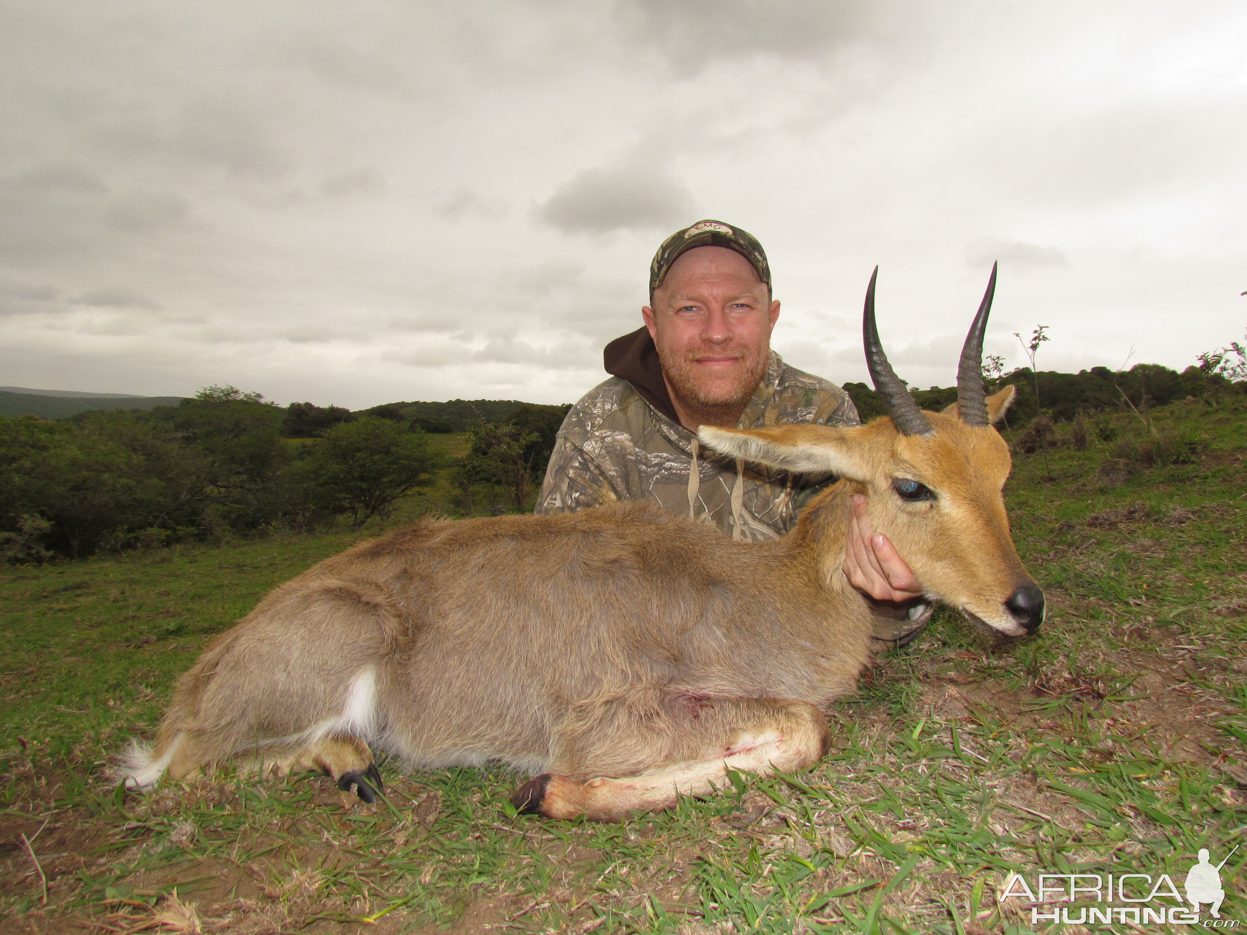 Hunt Mountain Reedbuck South Africa