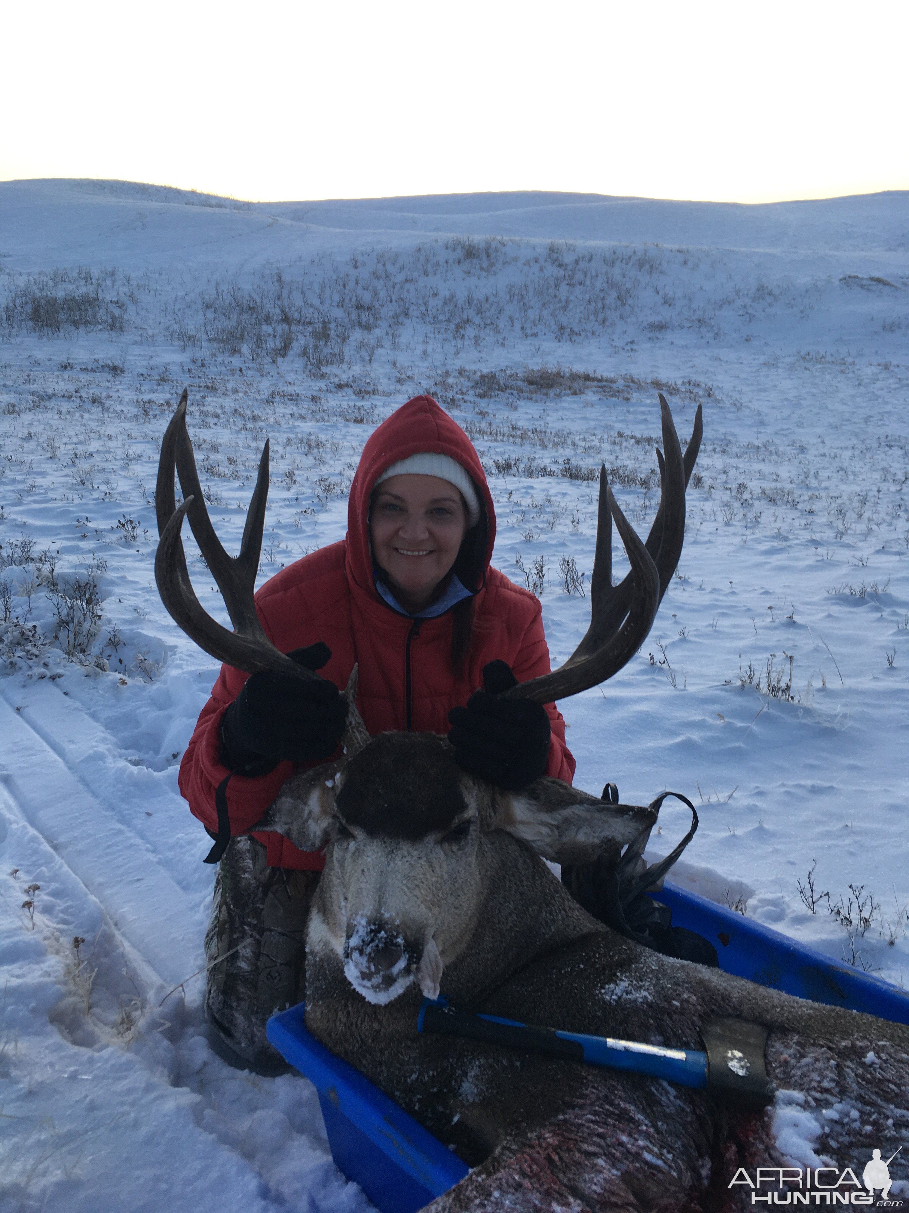 Hunt Mule Deer in Canada