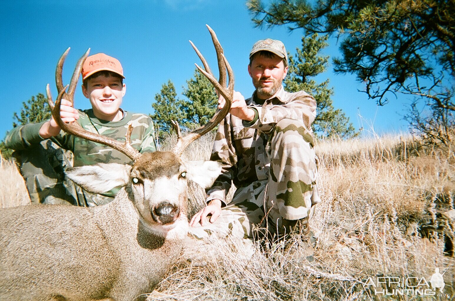 Hunt Mule Deer in USA