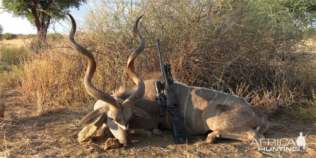 Hunt Namibia Kudu