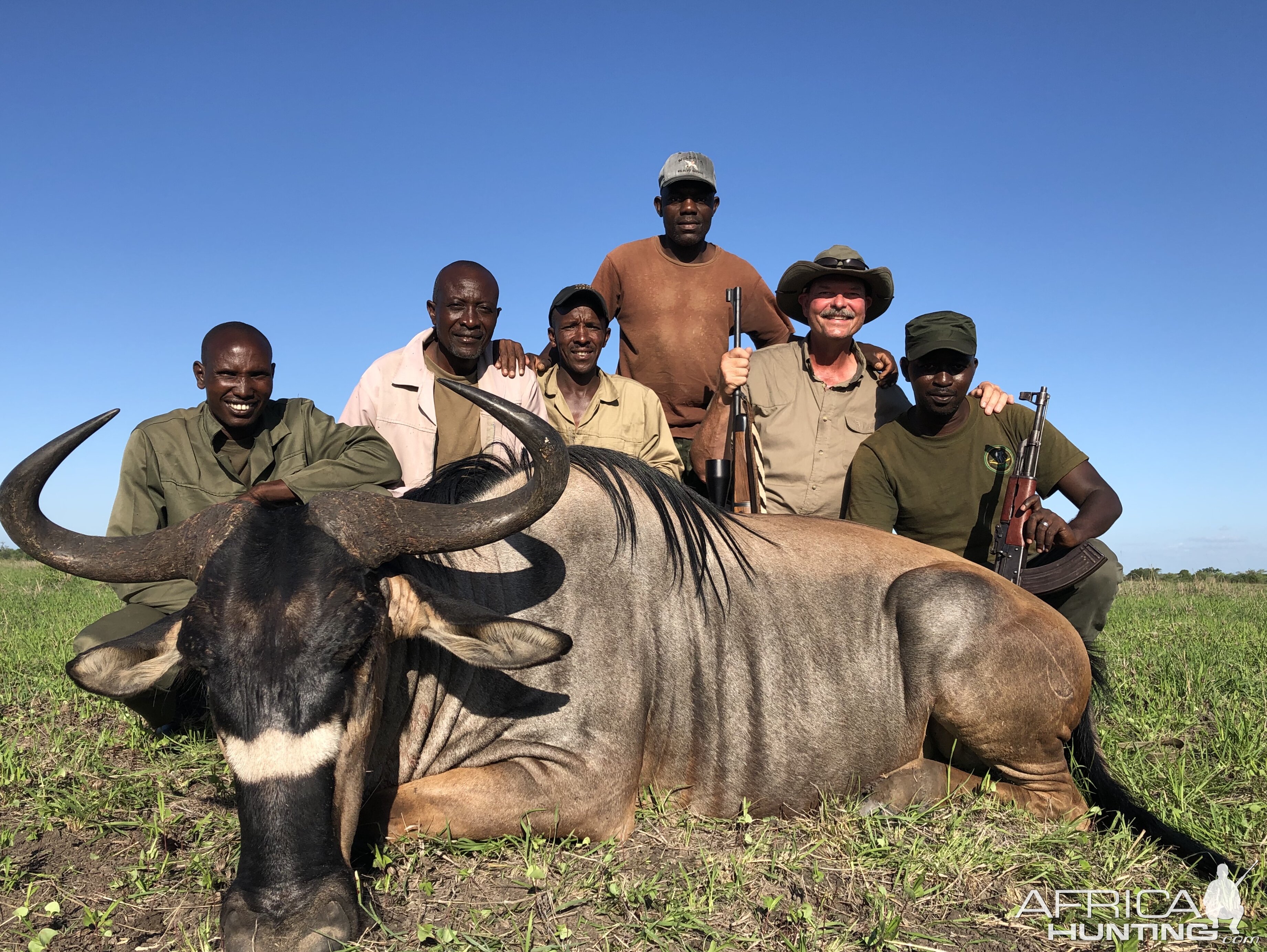 Hunt Nyasa Wildebeest in Tanzania