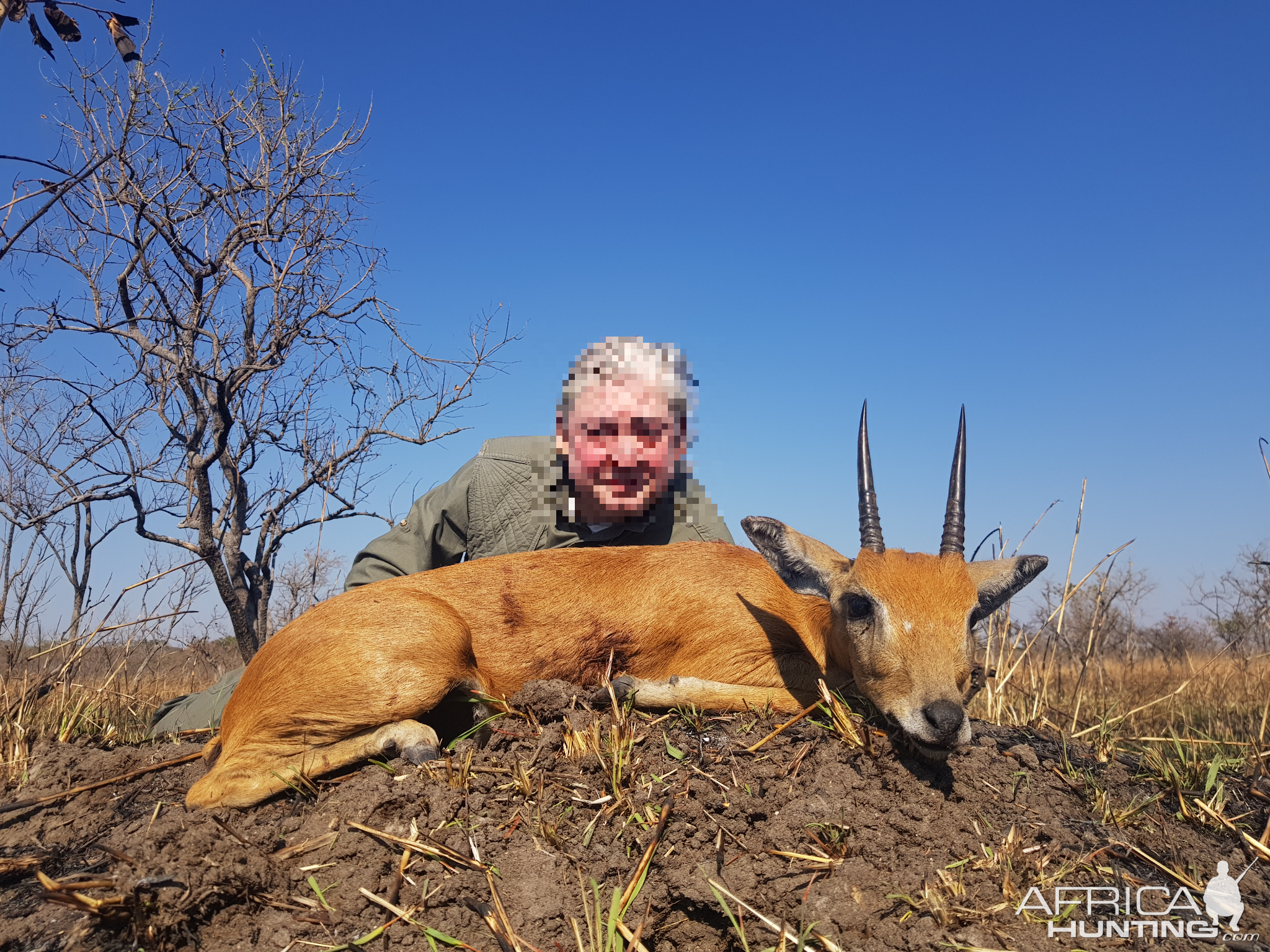 Hunt Oribi in Tanzania