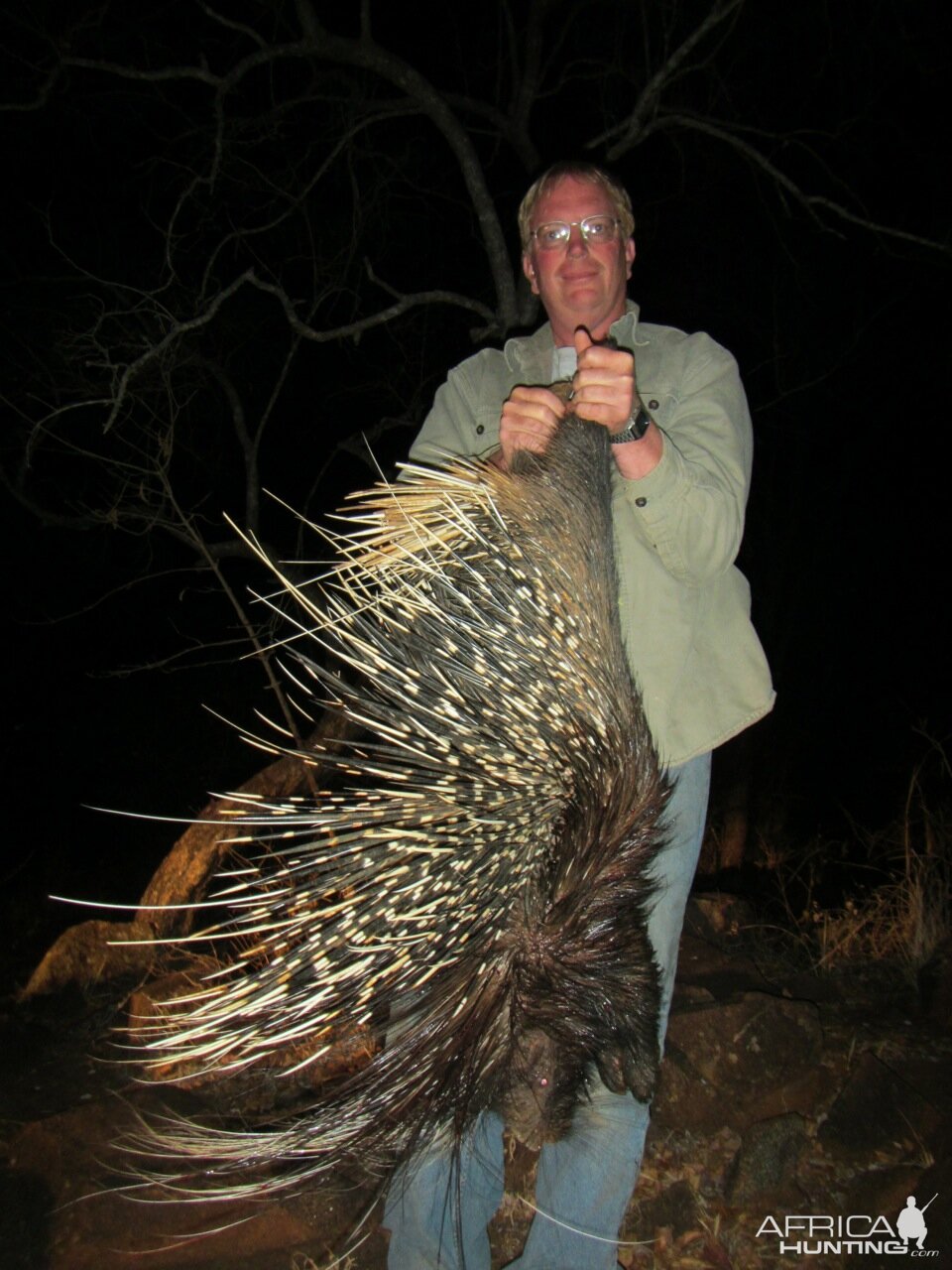 Hunt Porcupine