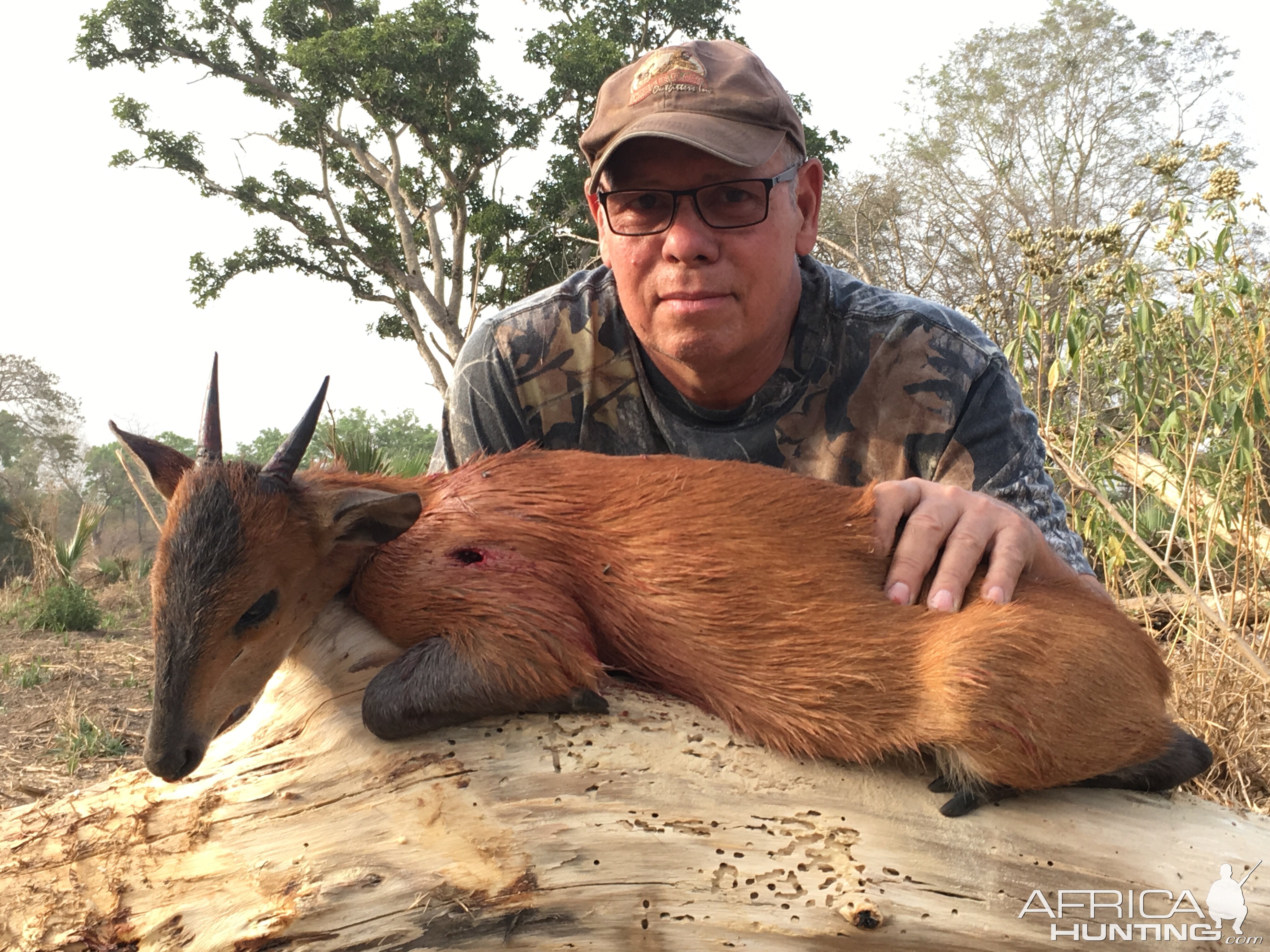 Hunt Red-flanked Duiker in Cameroon