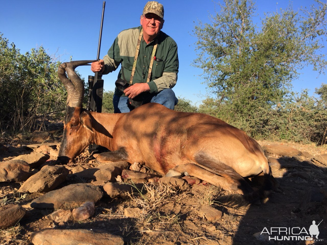 Hunt Red Hartebeest in Namibia