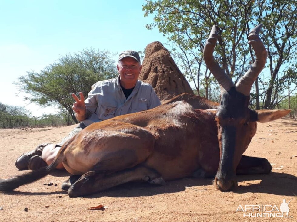 Hunt Red Hartebeest in Namibia