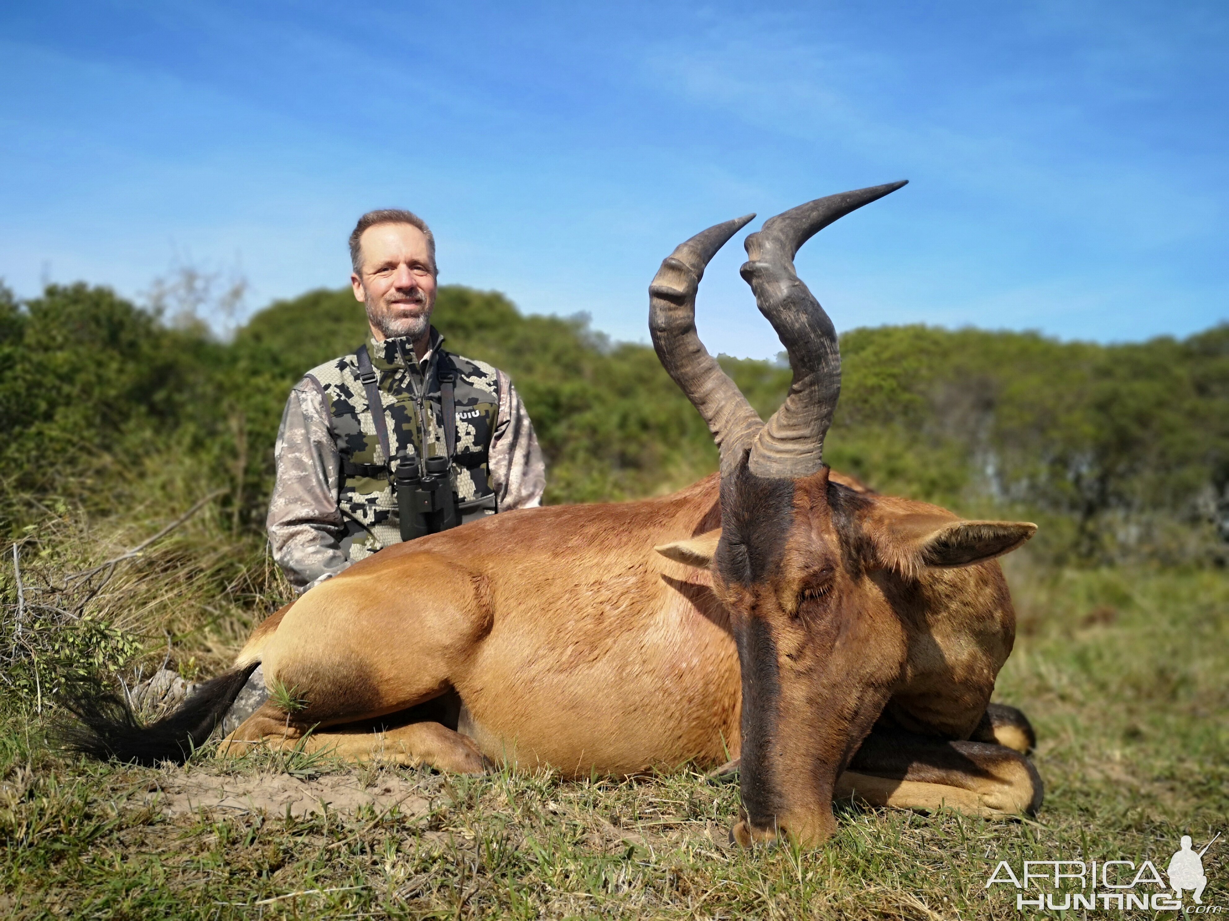 Hunt Red Hartebeest in South Africa