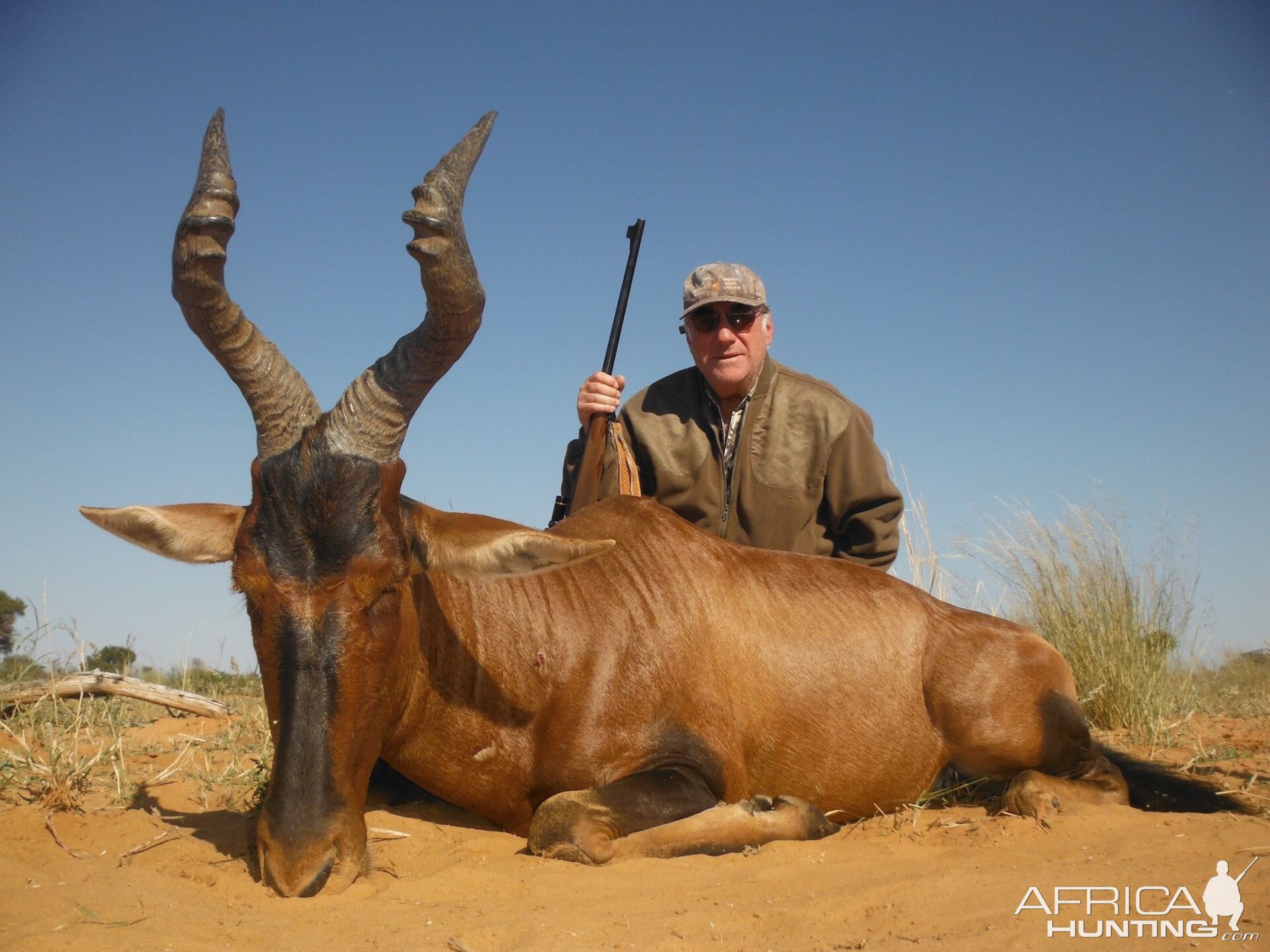 Hunt Red Hartebeest in South Africa