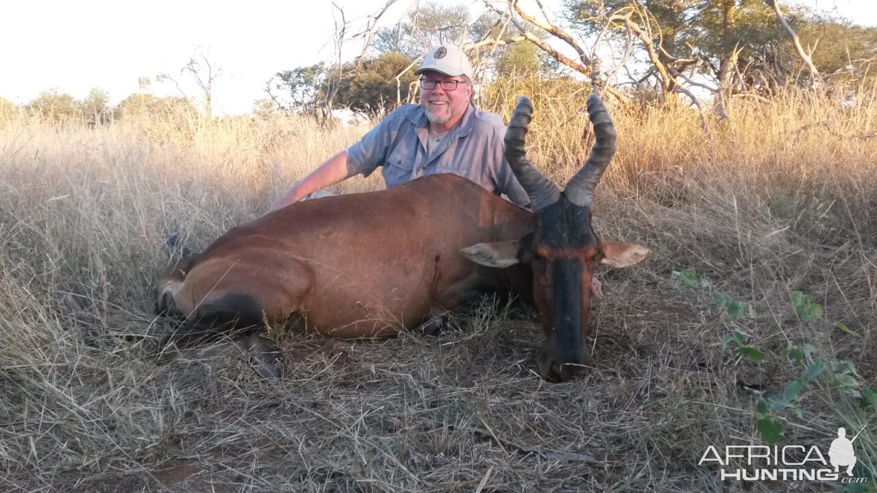 Hunt Red Hartebeest in South Africa
