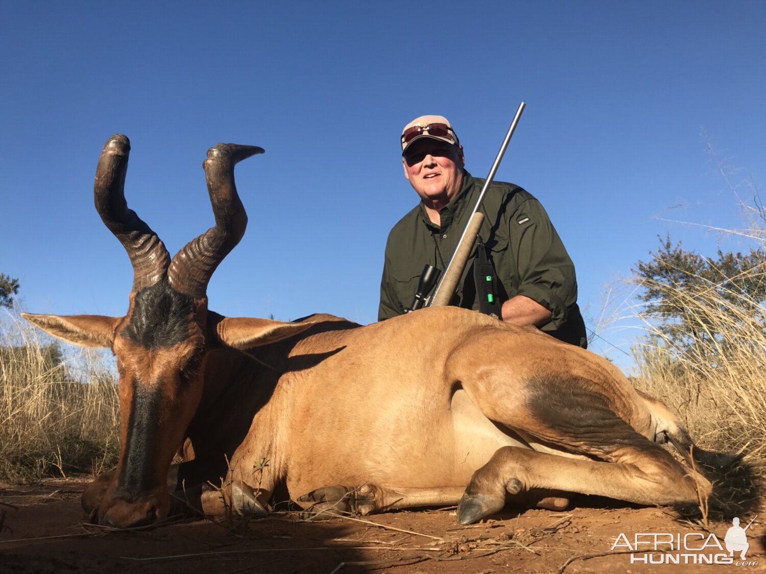 Hunt Red Hartebeest South Africa