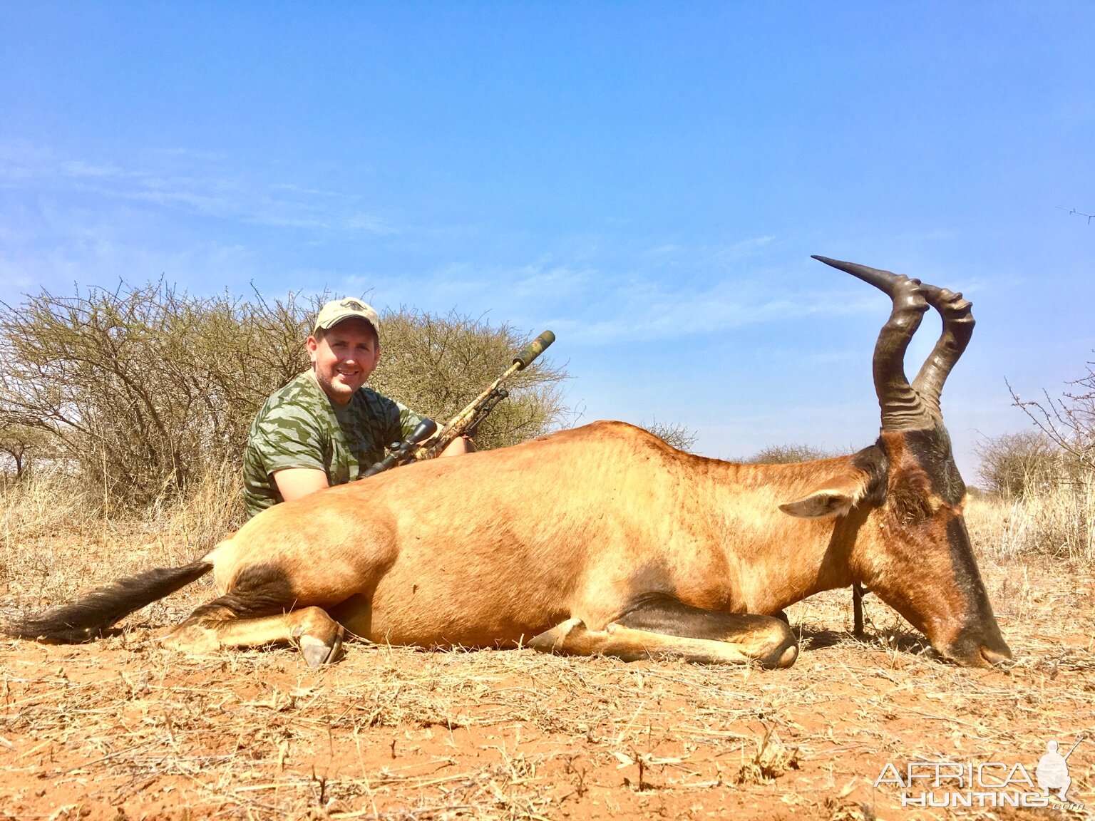 Hunt Red Hartebeest South Africa