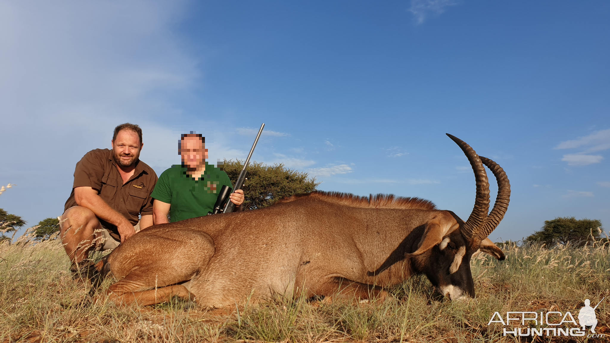 Hunt Roan Antelope in South Africa