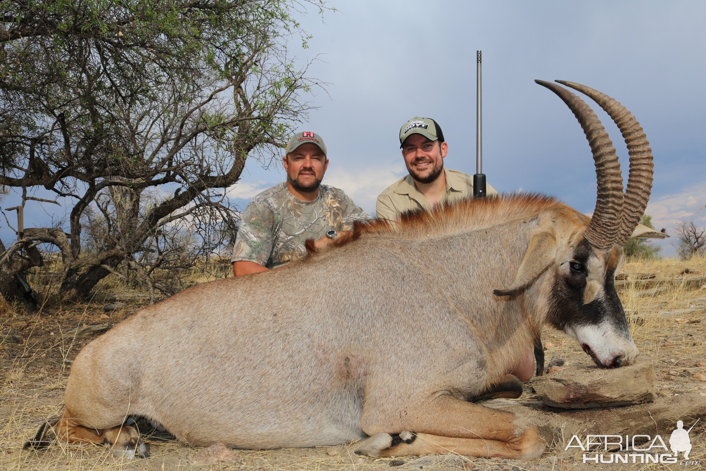 Hunt Roan Namibia