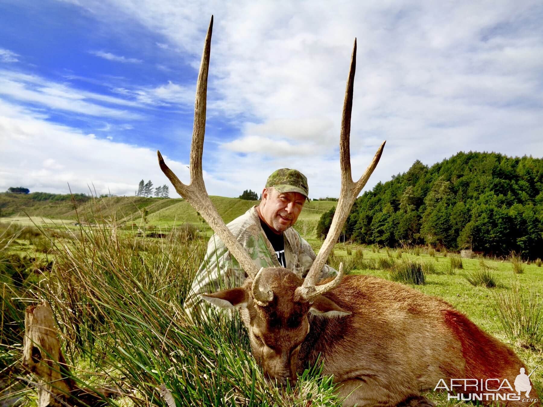 Hunt Rusa Deer in New Zealand