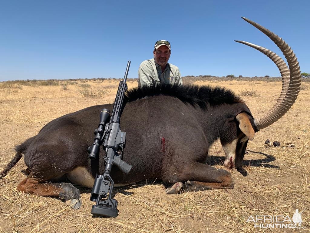 Hunt Sable Antelope in Caprivi Namibia