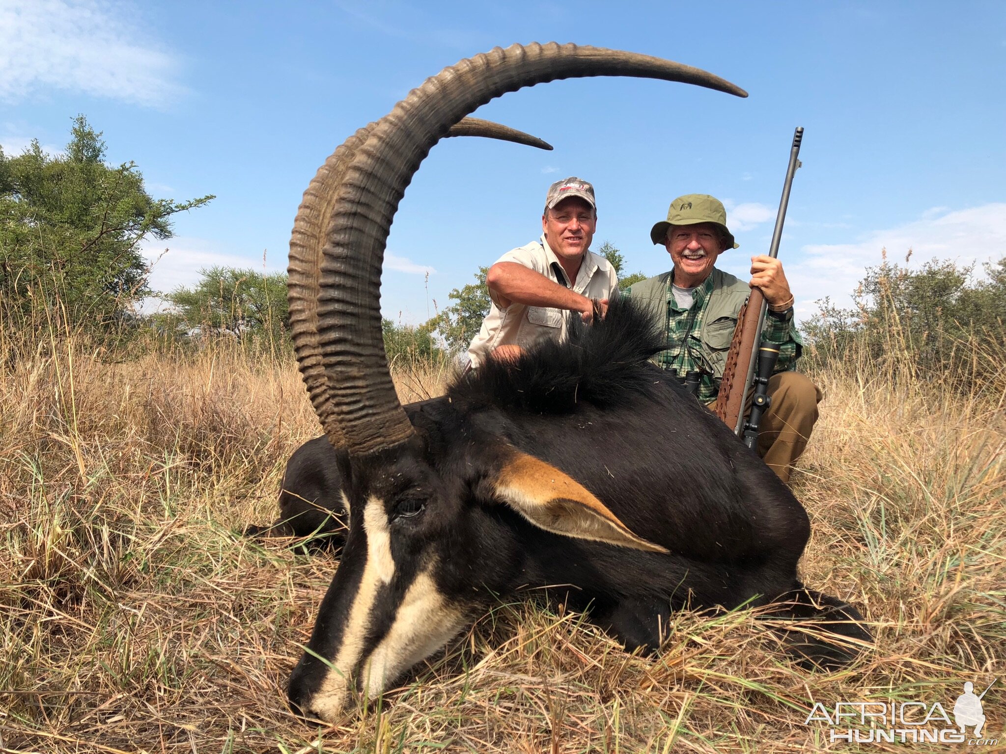 Hunt Sable Antelope in South Africa