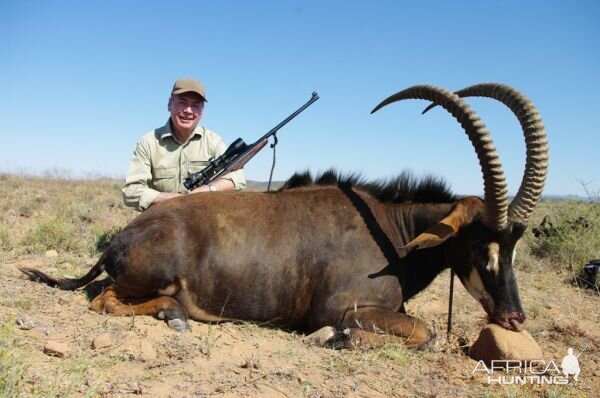 Hunt Sable Antelope South Africa