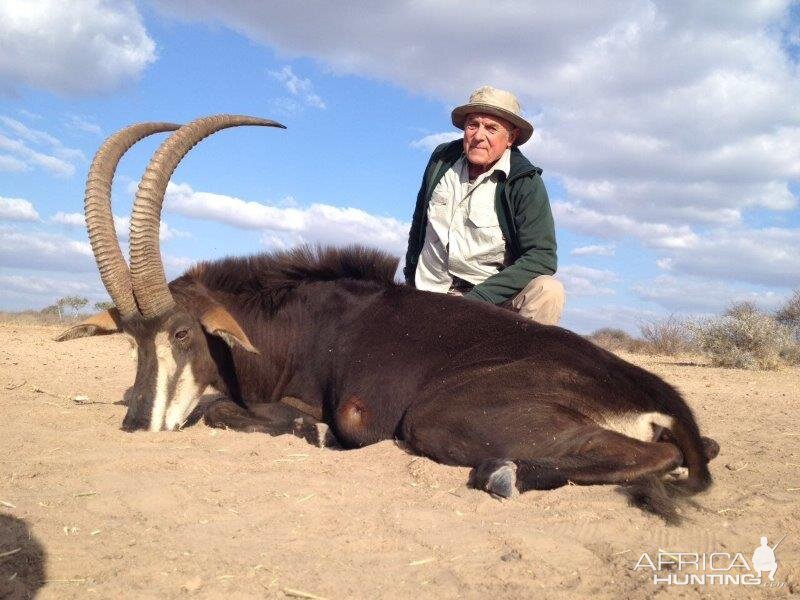 Hunt Sable Antelope South Africa