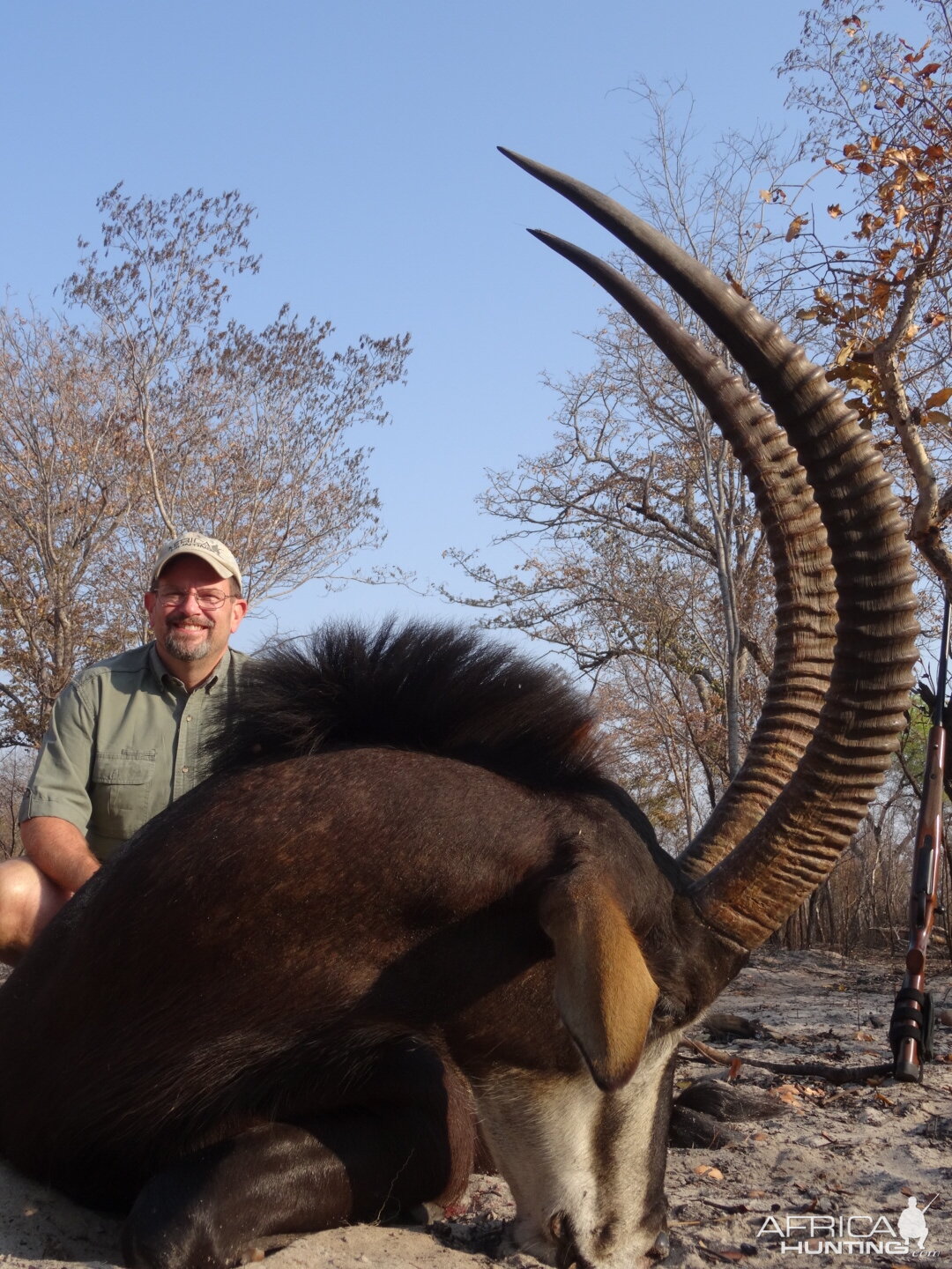 Hunt Sable Antelope Zimbabwe