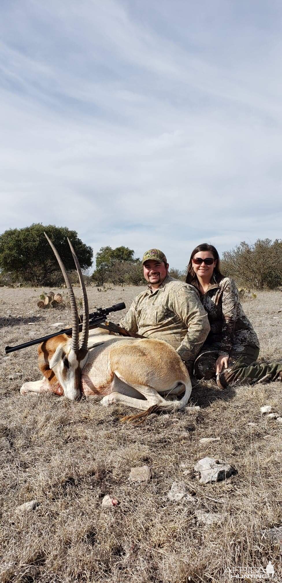 Hunt Scimitar Oryx in Texas USA