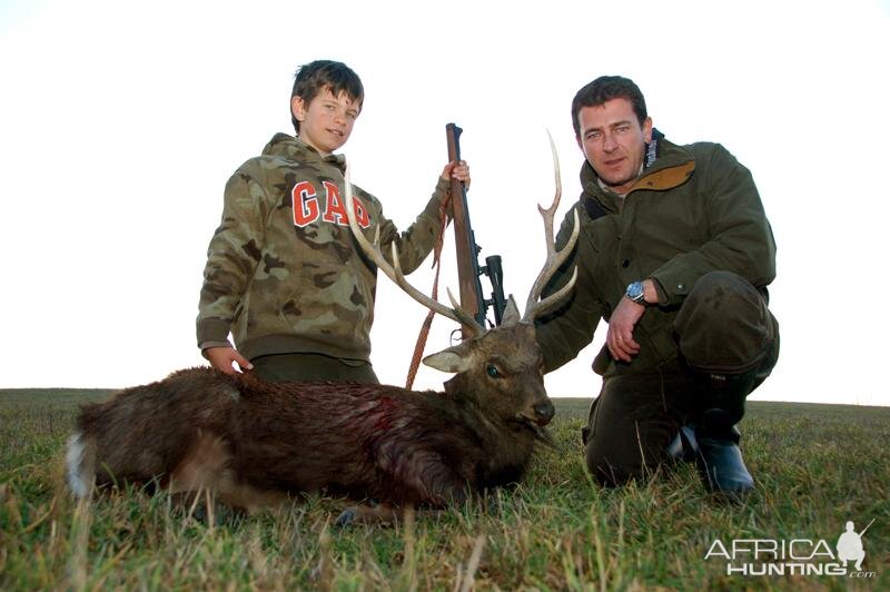 Hunt Sika Deer France