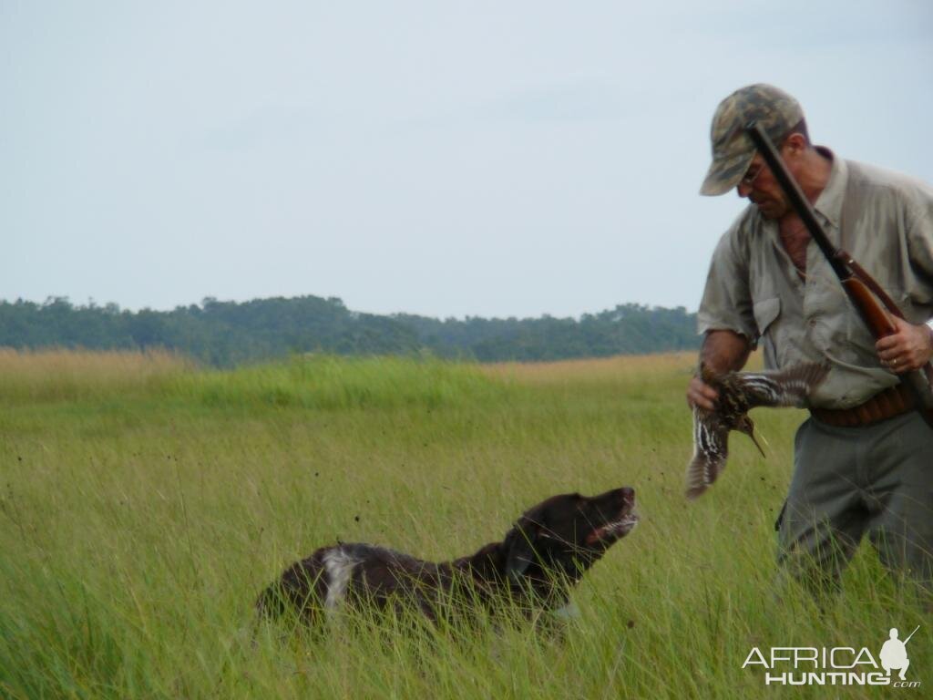 Hunt Snipe in Gabon