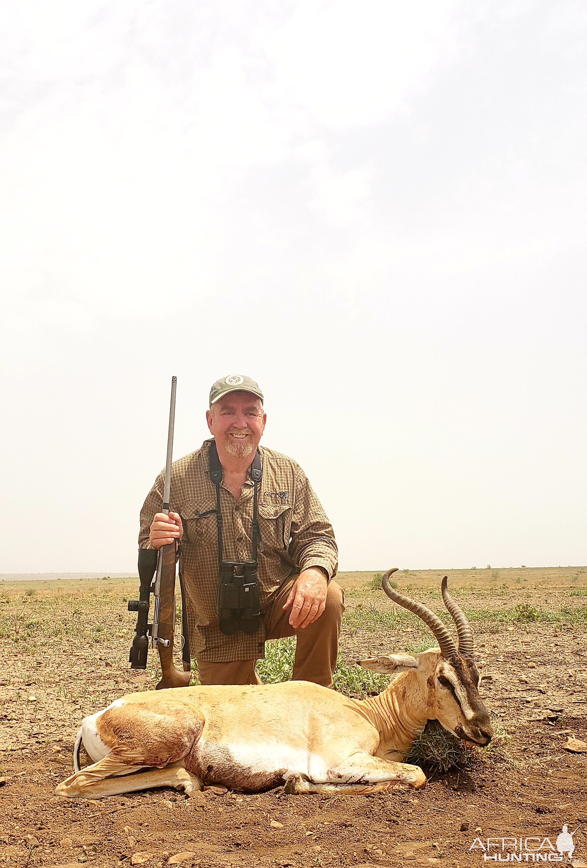 Hunt Soemmerring's Gazelle in Ethiopia